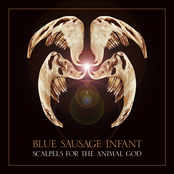 Scalpels for the Animal God