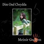 Golau Yn Y Gwyll by Meinir Gwilym