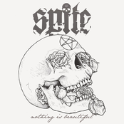 Spite: Nothing Is Beautiful