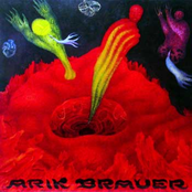 Der Spiritus by Arik Brauer