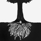 Eryn Allen Kane: a tree planted by water