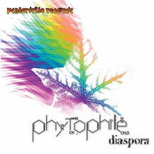 Phytophile