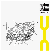 Walls by Nylon Union