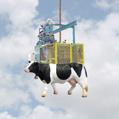 Mildly Abrasive Plastic Particle