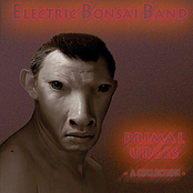 Just One Angel by Electric Bonsai Band