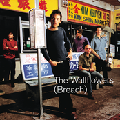 The Wallflowers: Breach