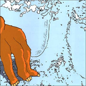 The Spiderbear Tales