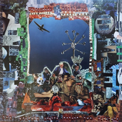 The Severed Tongue Speaks For Everyone