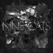 Nine Cats