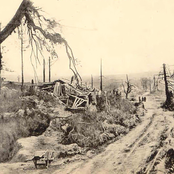 L'arbre au milieu du jardin