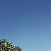 Still (Feat. Tunji Ige, High Klassified & Kris Bowers)