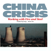 Animals In Jungles by China Crisis