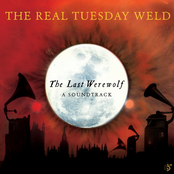 Tear Us Apart by The Real Tuesday Weld