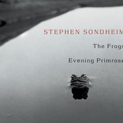 the frogs / evening primrose (2001 studio cast)