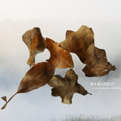 A Small Collection Of Folk Tales