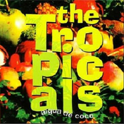 the tropicals