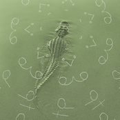 ALLIGATOR (MXJIA Remix)