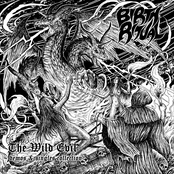 The Wild Evil ~ demos and singles collection