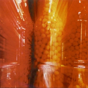 Tupinikings Pimenta Malagueta