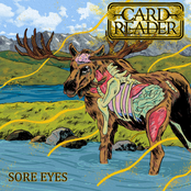 Card Reader: Sore Eyes