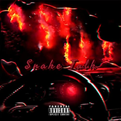 Snake Talk
