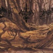 Petrichorus / Eldenhor / Pagan Hammer