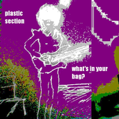 Plastic Section - What's In Your Bag?