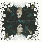 Theory of Gravity