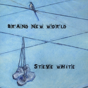 Steve White: Brand New World