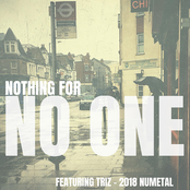 Nothing for No One (feat. Triz)