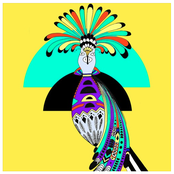 The Birds and the Bongos