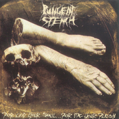 Bonesawer by Pungent Stench