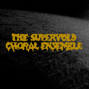 The Supervoid Choral Ensemble