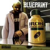 Blueprint: Iron & Niacin