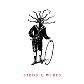 Birds & Wires