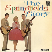 Come On Home by The Springfields