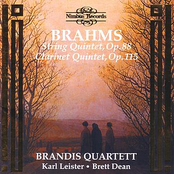 Brahms, String Quintet, Op 88, Clarinet Quintet,Op 115
