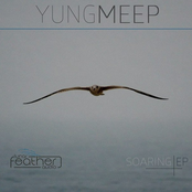 Soaring