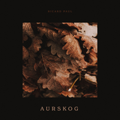 Aurskog