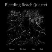 bleeding beach quartet