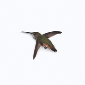 Just Words / Ten Year