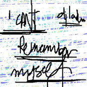 I Cant Remember Myself