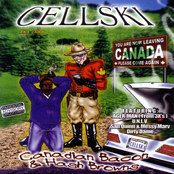 Cellski: Canadian Bacon & Hash Browns