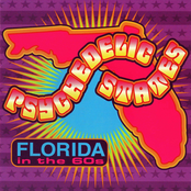 Psychedelic States: Florida in the 60s, Vol. 1