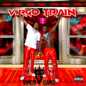 Virgo Train