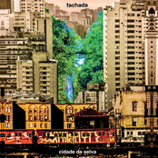 Cidade Da Selva