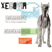 Tocalcerdi- MUN Discos