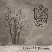 echoes of darkness