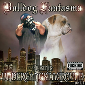 UnderGangstaGround Vol. 1