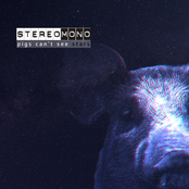 Pigs Can't See Stars